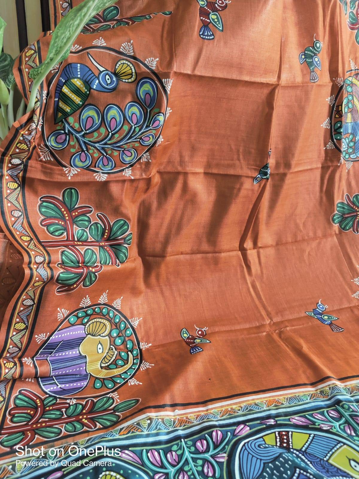 447843033_122112246146332174_7996713583537109055_n